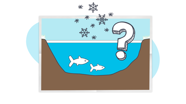 Grafik: Fische schwimmen unter gefrorener Eisdecke, daneben Fragezeichen