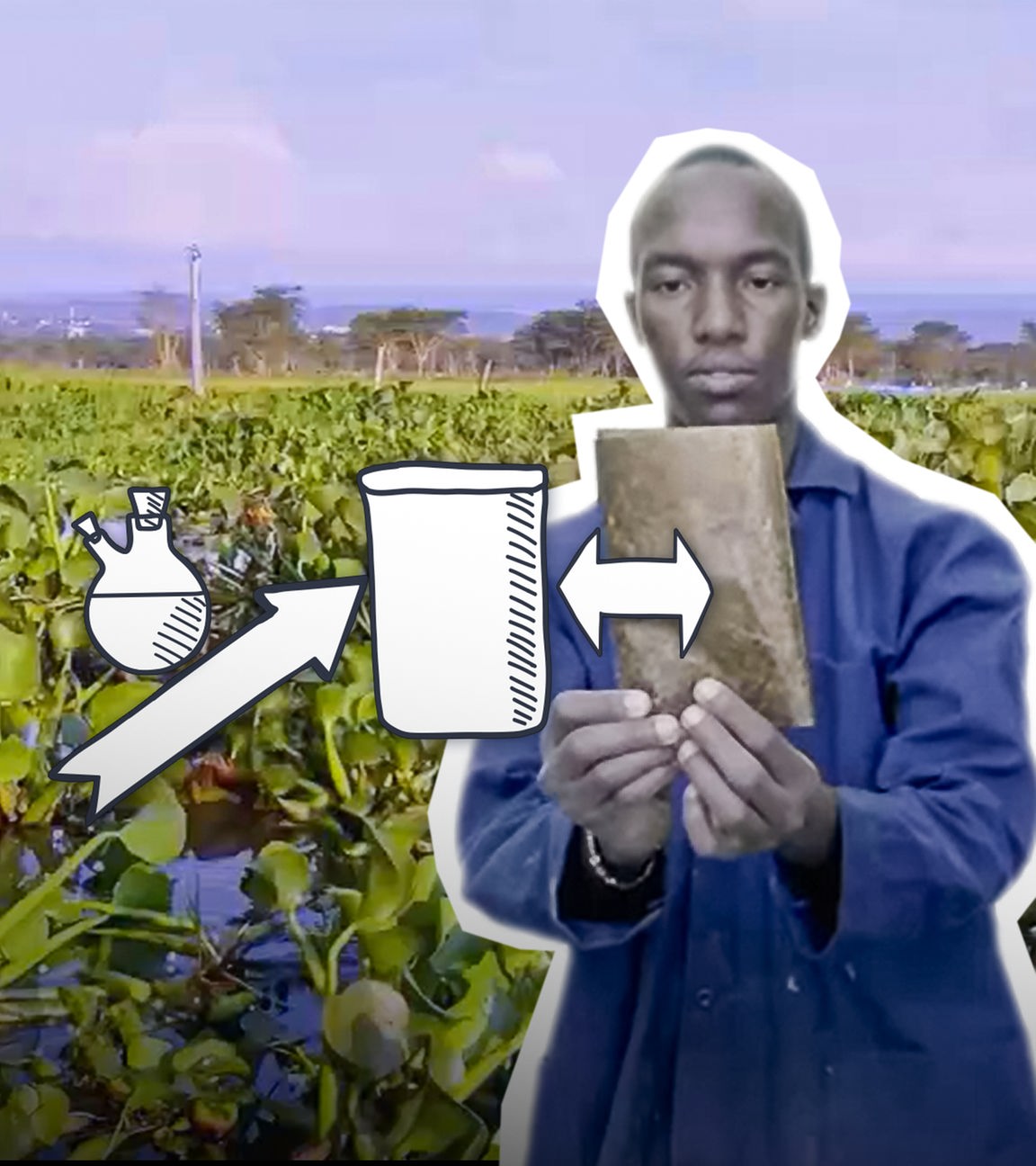 logo! - Plastik-Verpackung aus Wasserpflanze