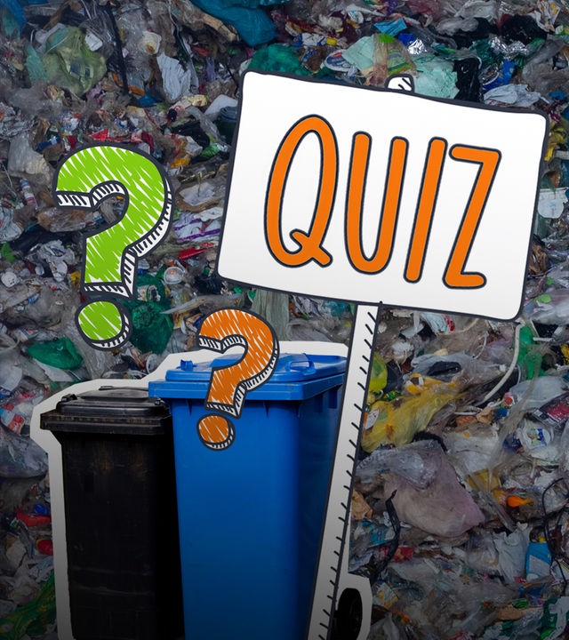 Müll und Mülltonnen