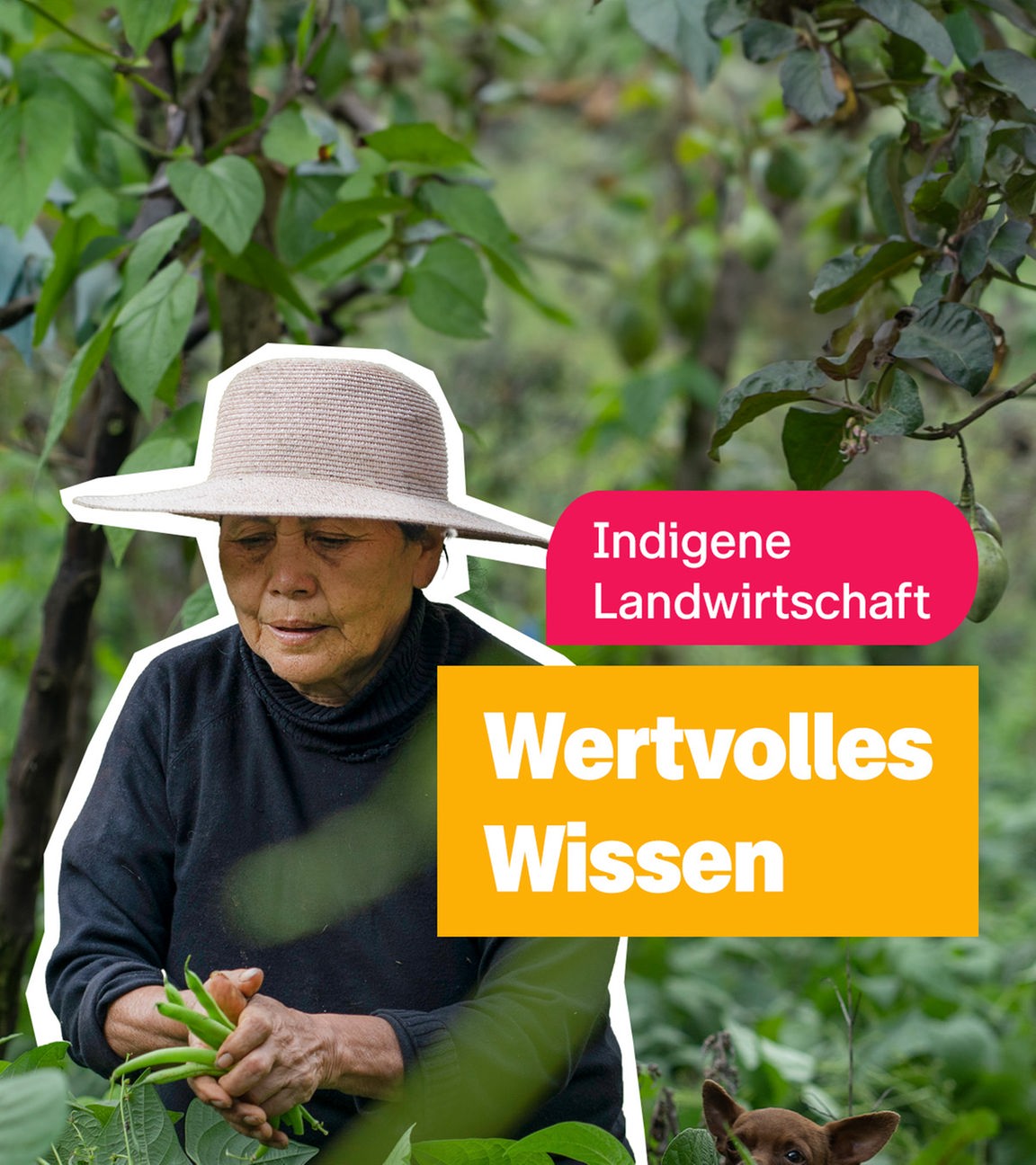 Indigene Landwirtschaft
