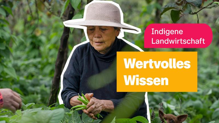 Indigene Landwirtschaft