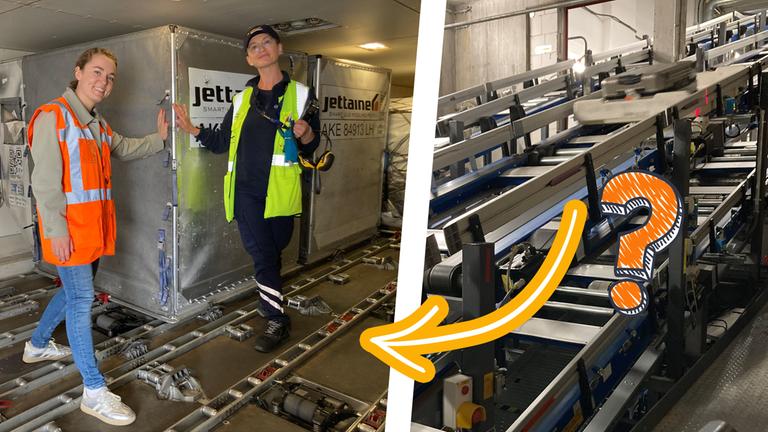 Lotte steht im Flugzeugbauch neben einem Container und rechts daneben ein Bild vom Kofferband mit einem Pfeil und einem Fragezeichen