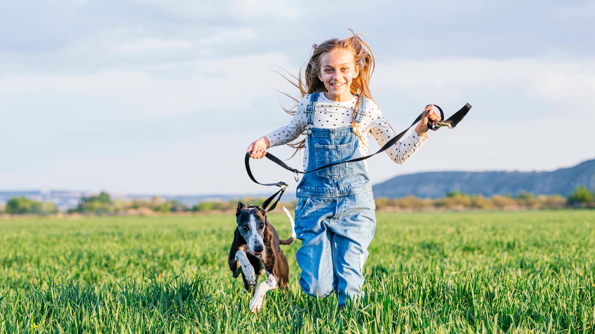 Mädchen führt Hund auf einer Wiese spazieren