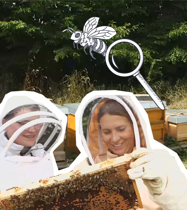 Reporterin Magdalena sucht Bienenkönigin