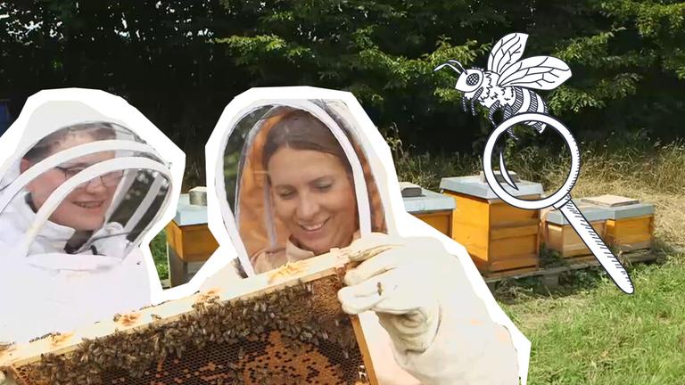 Reporterin Magdalena sucht Bienenkönigin