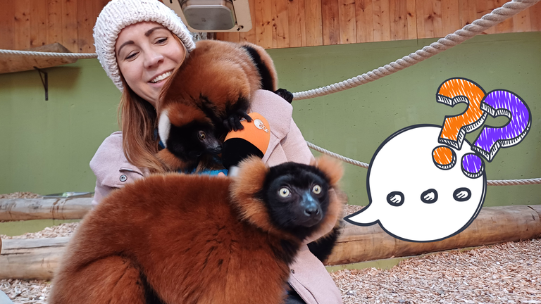 Magdalena mit zwei sehr süßen Lemuren auf dem Schoß und logo!-Mikrofon