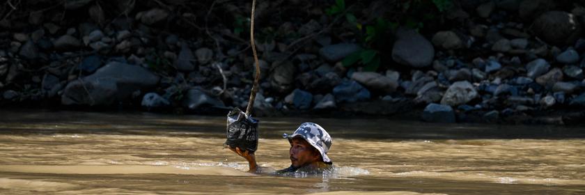Mann trägt Pflanze / Baum durchs Wasser