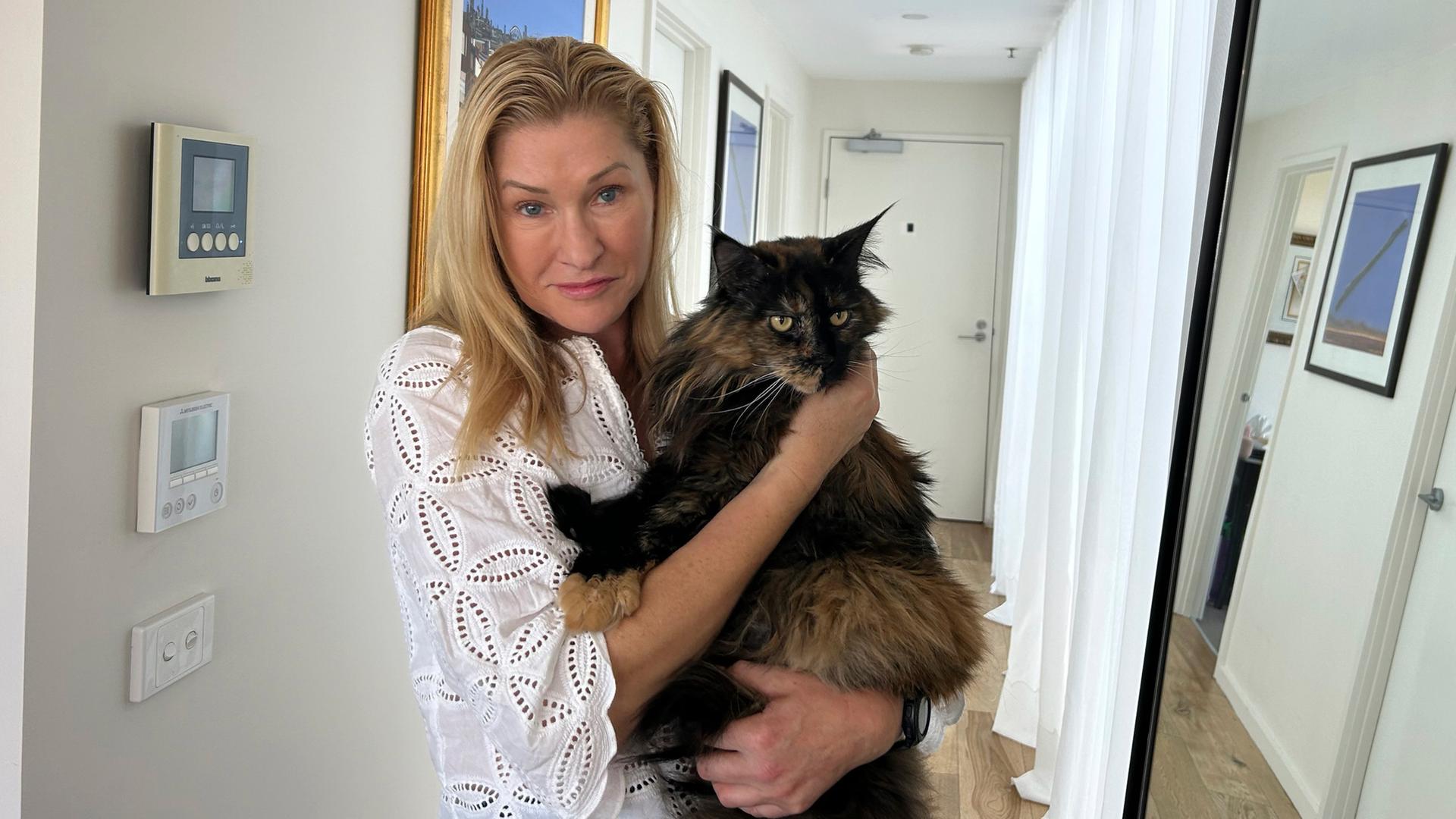 Süße, flauschige Katze in den Armen einer Frau.