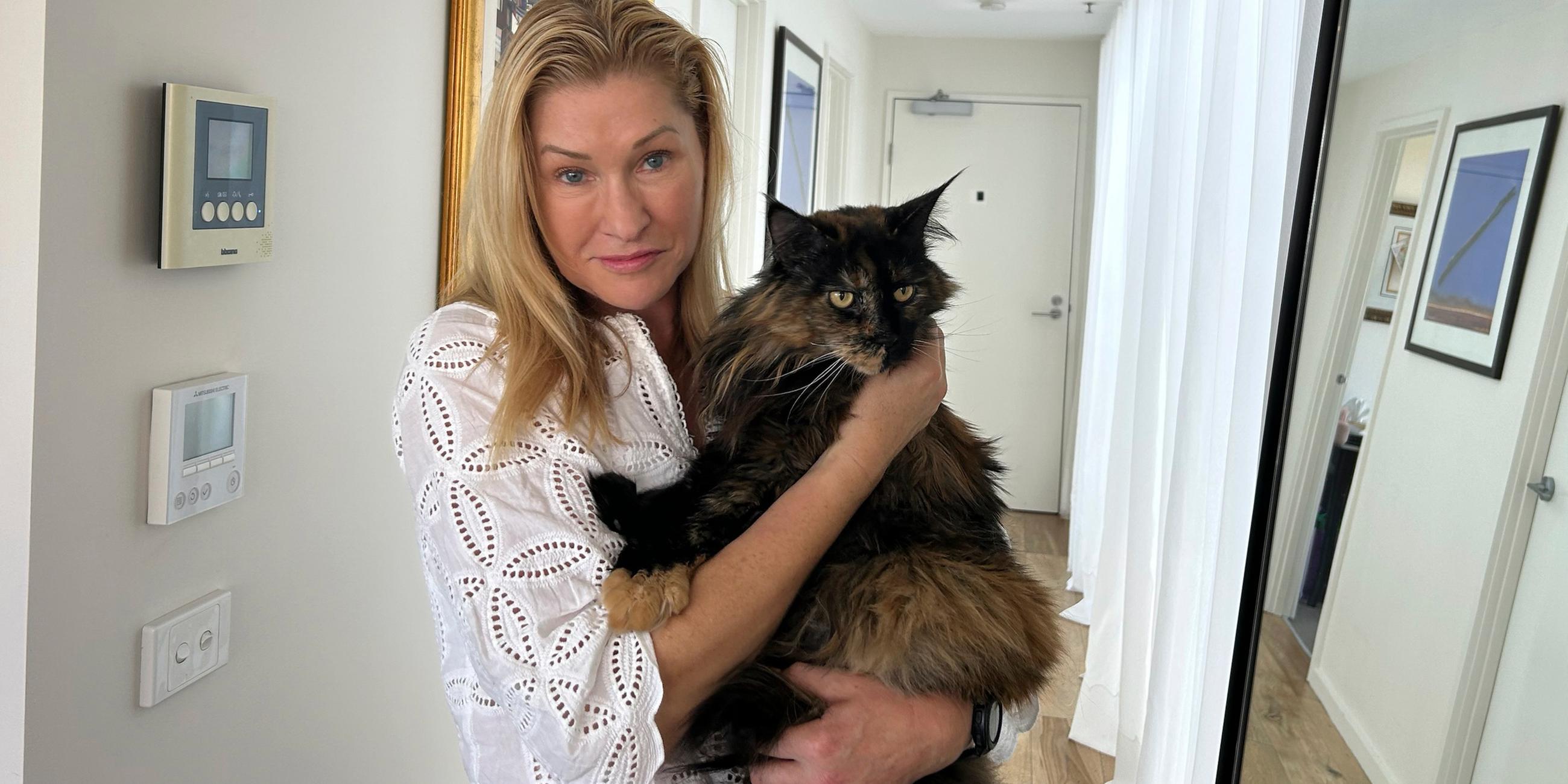 Süße, flauschige Katze in den Armen einer Frau.