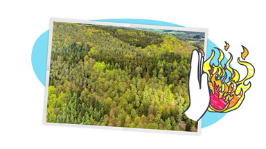 Ein Bild von einem grünen Wald, darauf eine Hand die gegen Feuer gerichtet ist. Dahinter ein blauer und weißer Hintergrund.