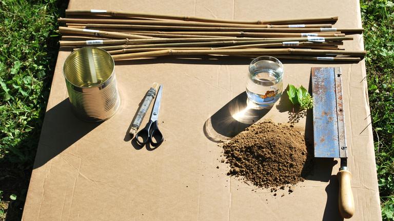 Auf einem Tisch ausgebreitet befinden sich alle benötigten Materialien, um ein Insektenhotel zu bauen