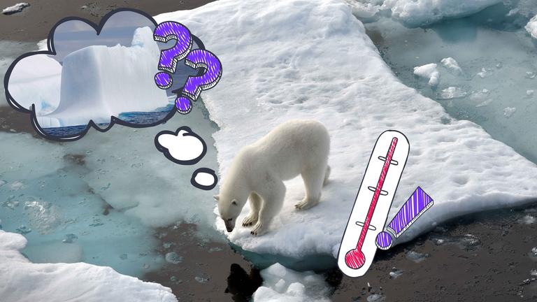 Wo ist der Eisberg hin? Das scheint sich dieser Eisbär zu fragen - ohne Meereis schwindet sein Lebensraum.