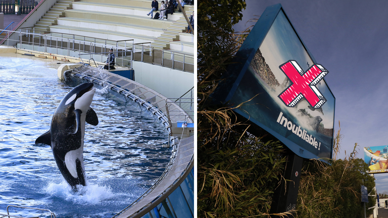 Meereszoo in Frankreich schließt