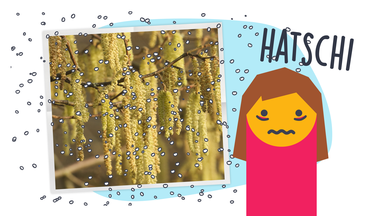 Mehr Pollen Grafik