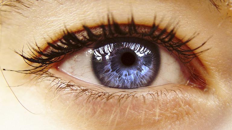 Auge eines Menschen