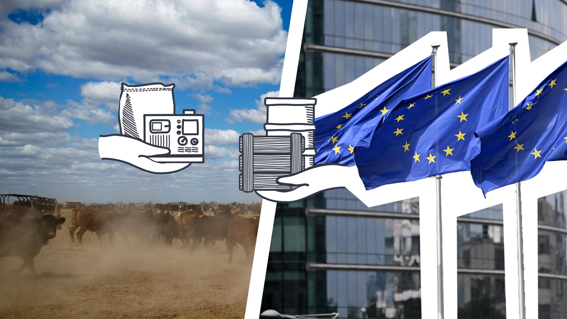 Links sieht man eine Kuhherde in Argentinien, rechts Flaggen der EU, darüber zwei Hände, die Waren miteinander austauschen