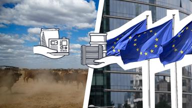 Links sieht man eine Kuhherde in Argentinien, rechts Flaggen der EU, darüber zwei Hände, die Waren miteinander austauschen
