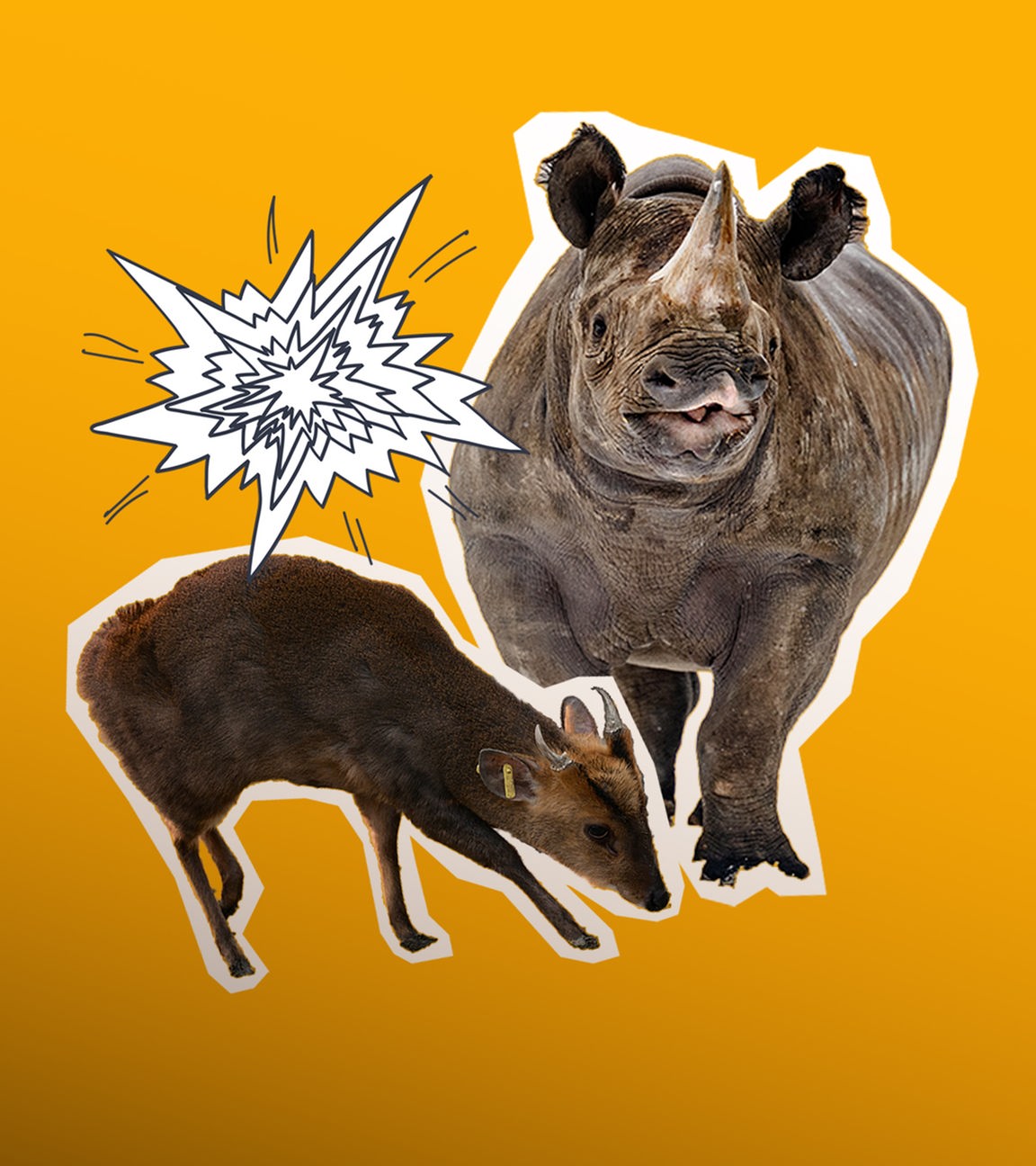 Ein Minihirsch und ein Nashorn sind zu sehen. Daneben eine Zeichnung die aussieht wie ein Knall.
