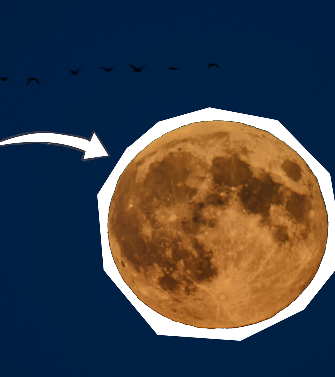 Der Mond und eine Lupe