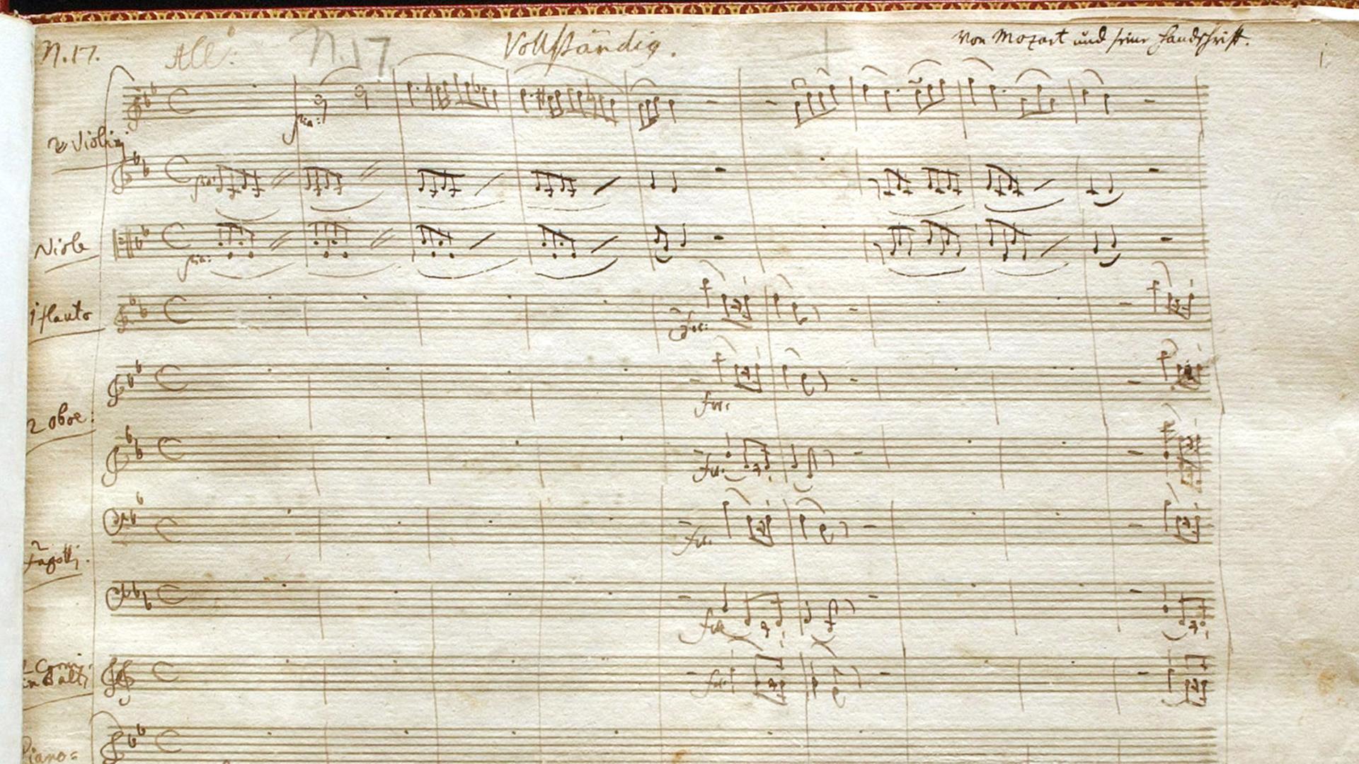 Ein Bogen Papier mit handschriftlichen Notenzeichen.