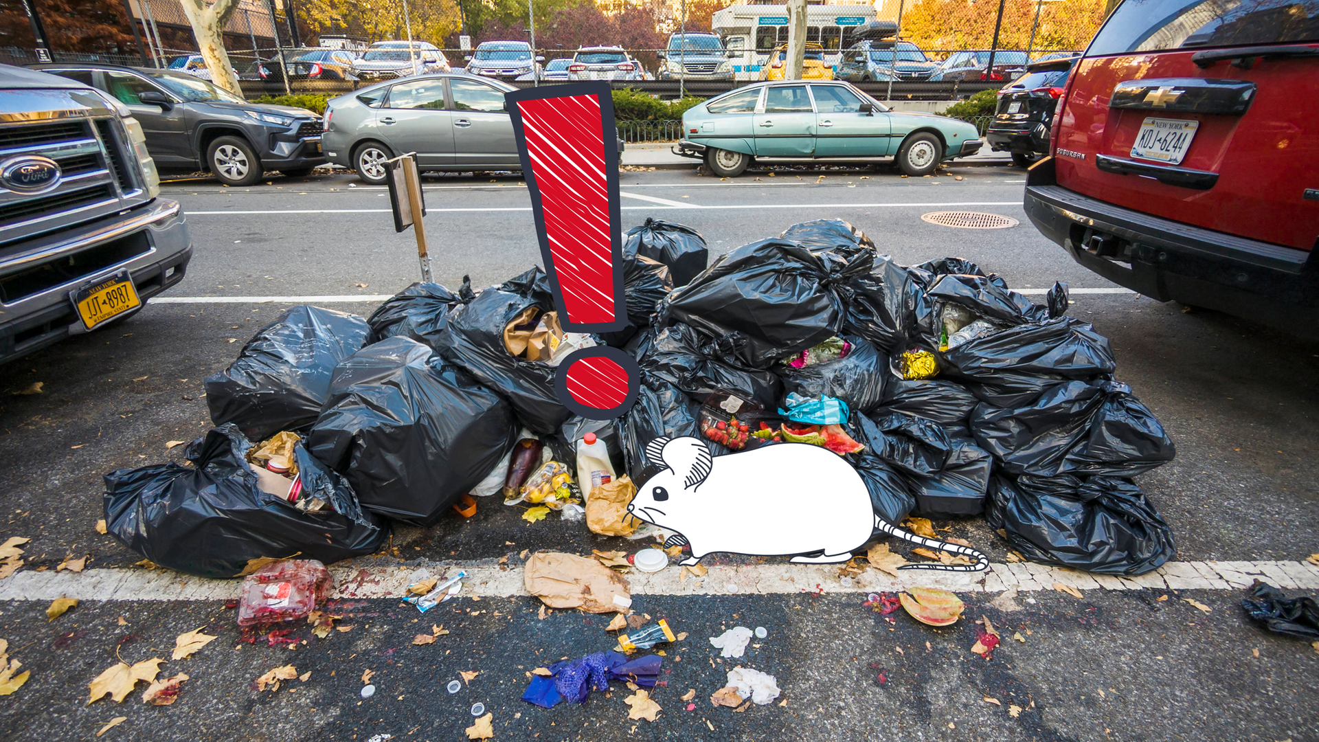 Müll liegt in New York auf der Straße.