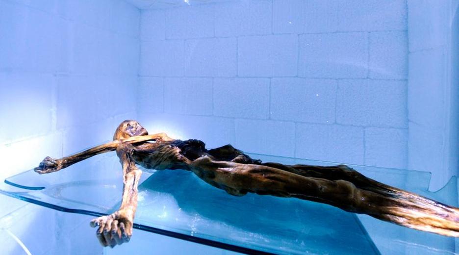 Mumie Ötzi im Museum.