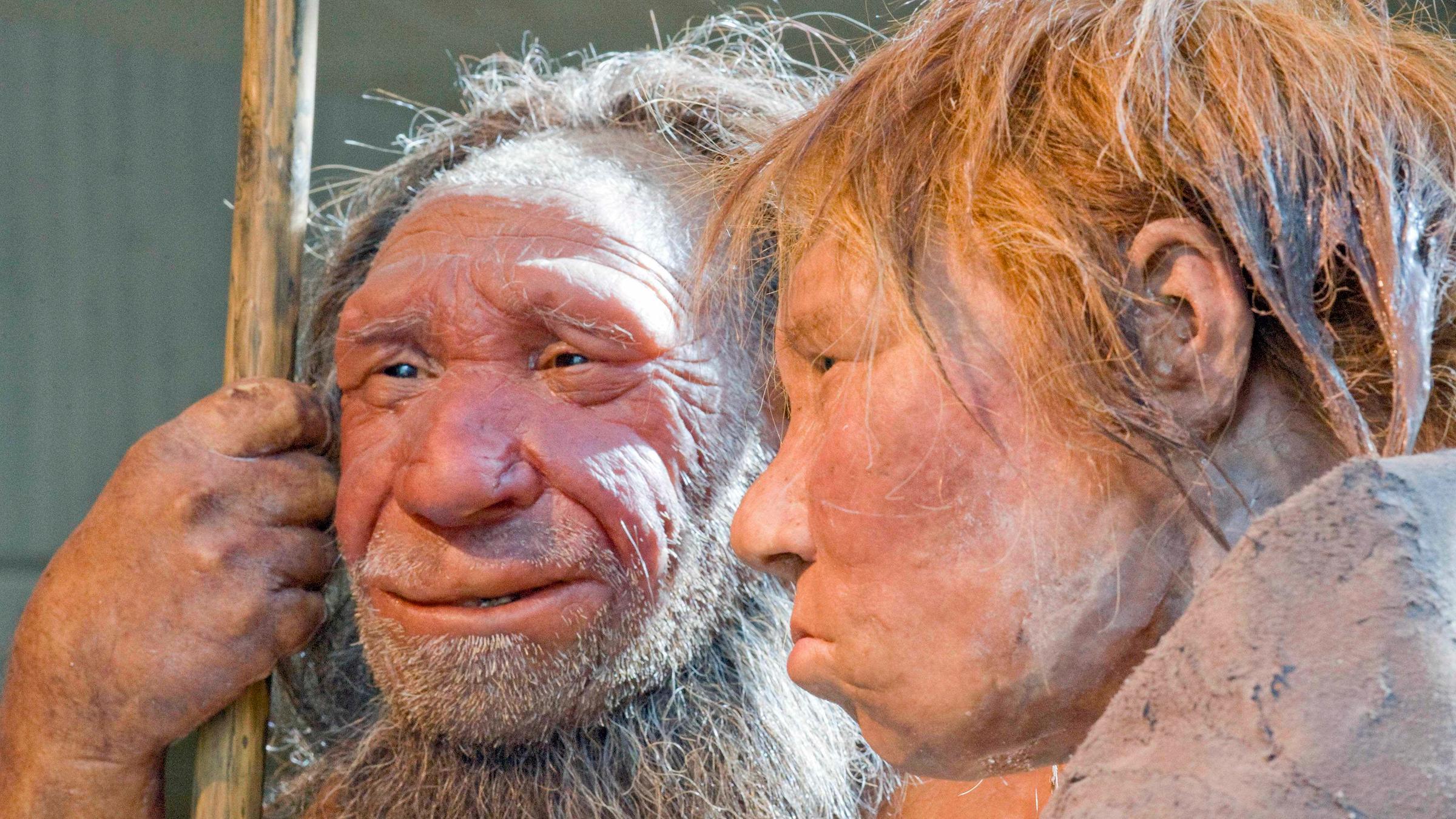 "Sex in der Steinzeit": Nachbildung von Neandertalern.
