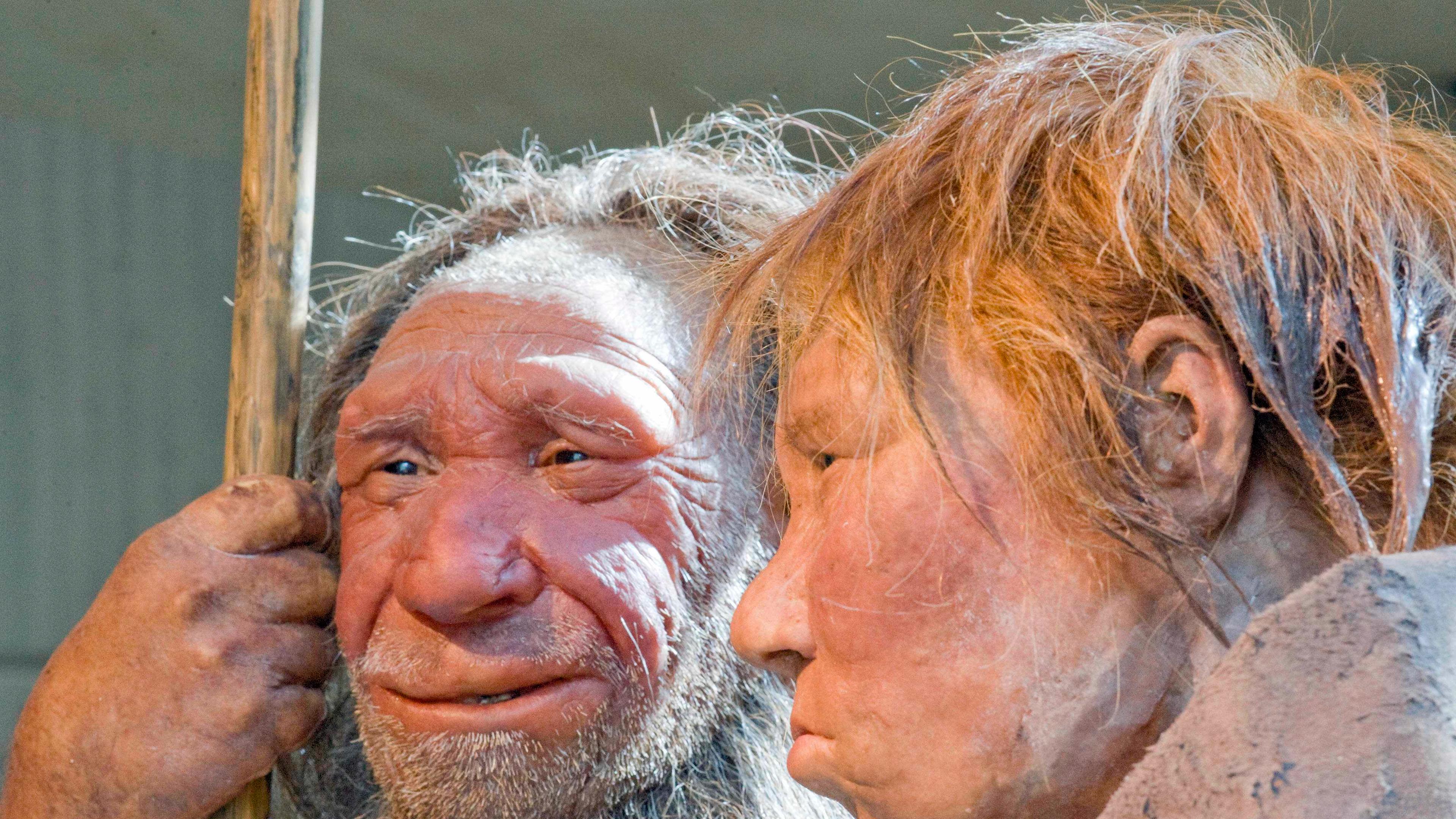 "Sex in der Steinzeit": Nachbildung von Neandertalern.