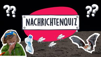 Nachrichtenquiz