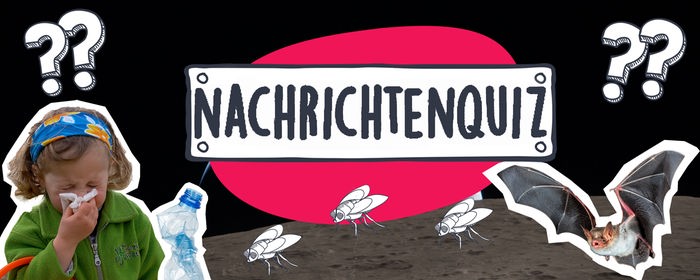 Nachrichtenquiz
