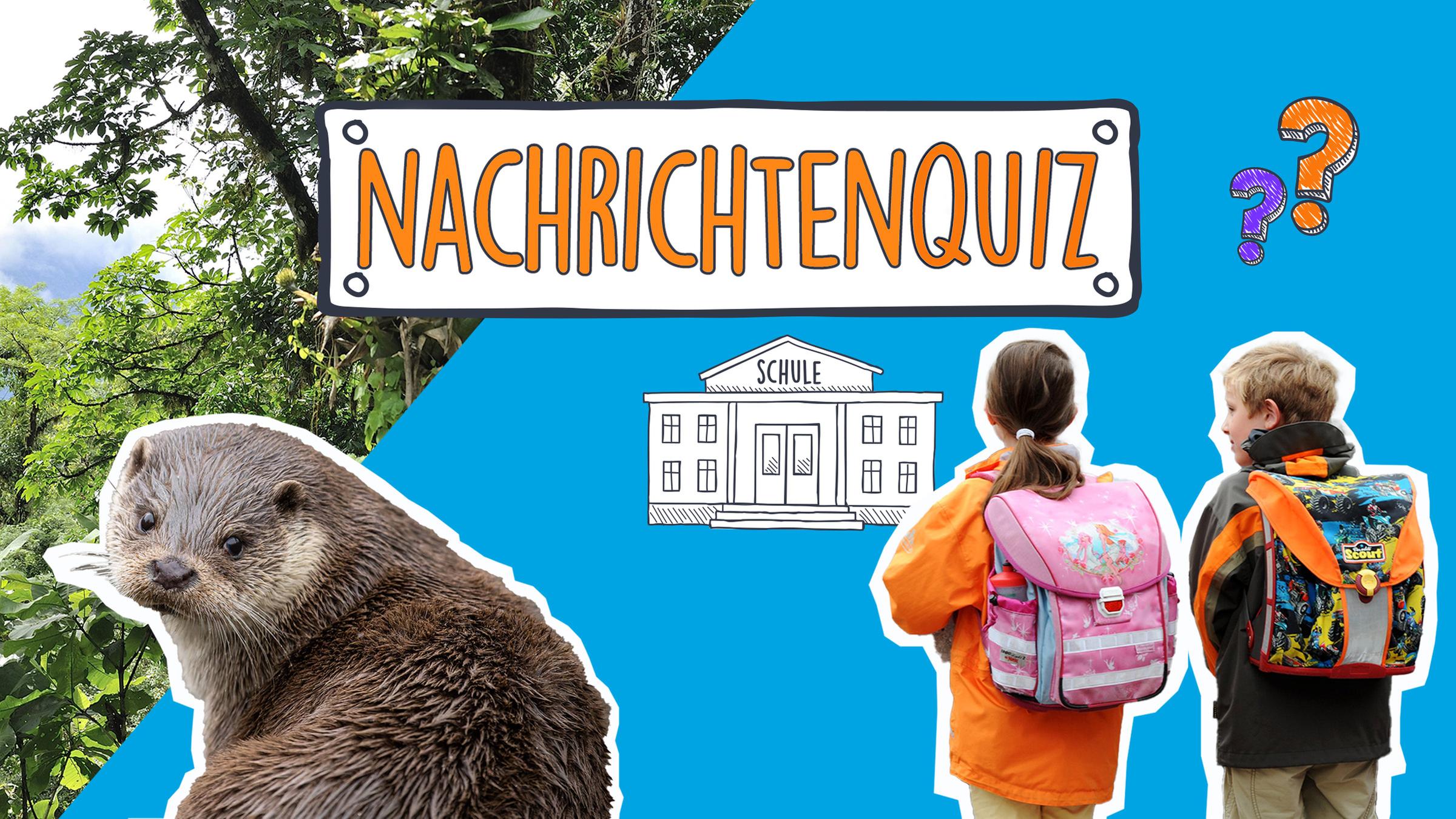 Auf blauem Hintergrund sieht man einen Otter, zwei Schulkinder mit Ranzen, eine Zeichnung eines Schulgebäudes und ein Foto von einem Regenwald. Darauf sind zwei bunte Fragezeichen zu sehen und der Titel: Nachrichtenquiz.