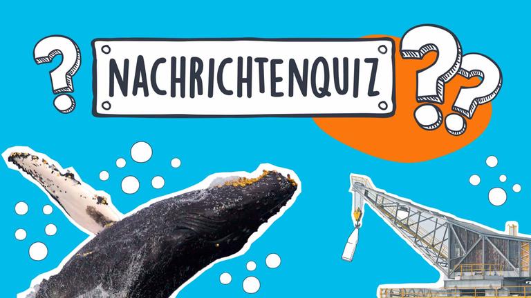Nachrichtenquiz KW 13