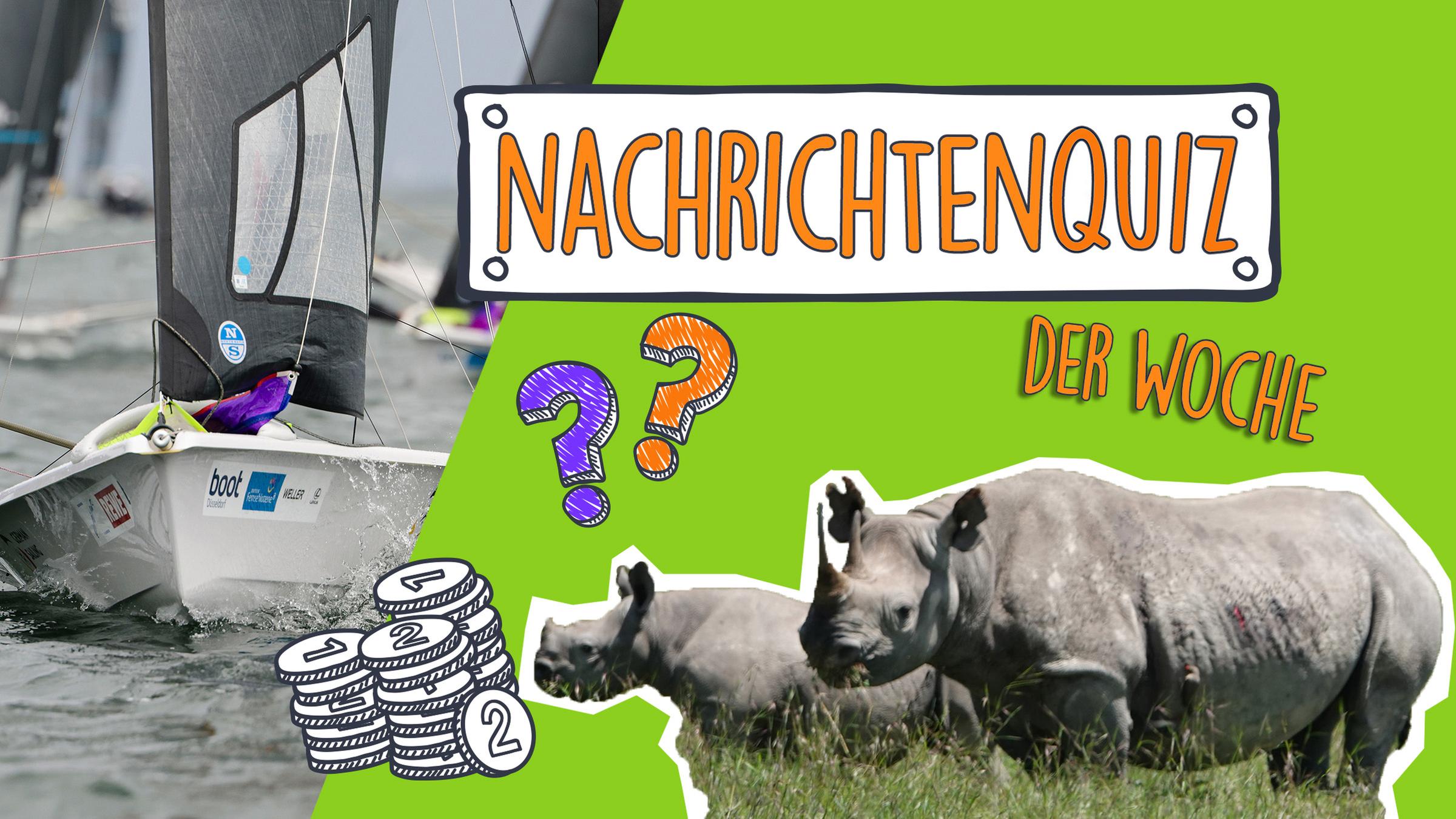 Nachrichtenquiz der Woche: Kollage aus Segelboot, Nashörnern und Geld