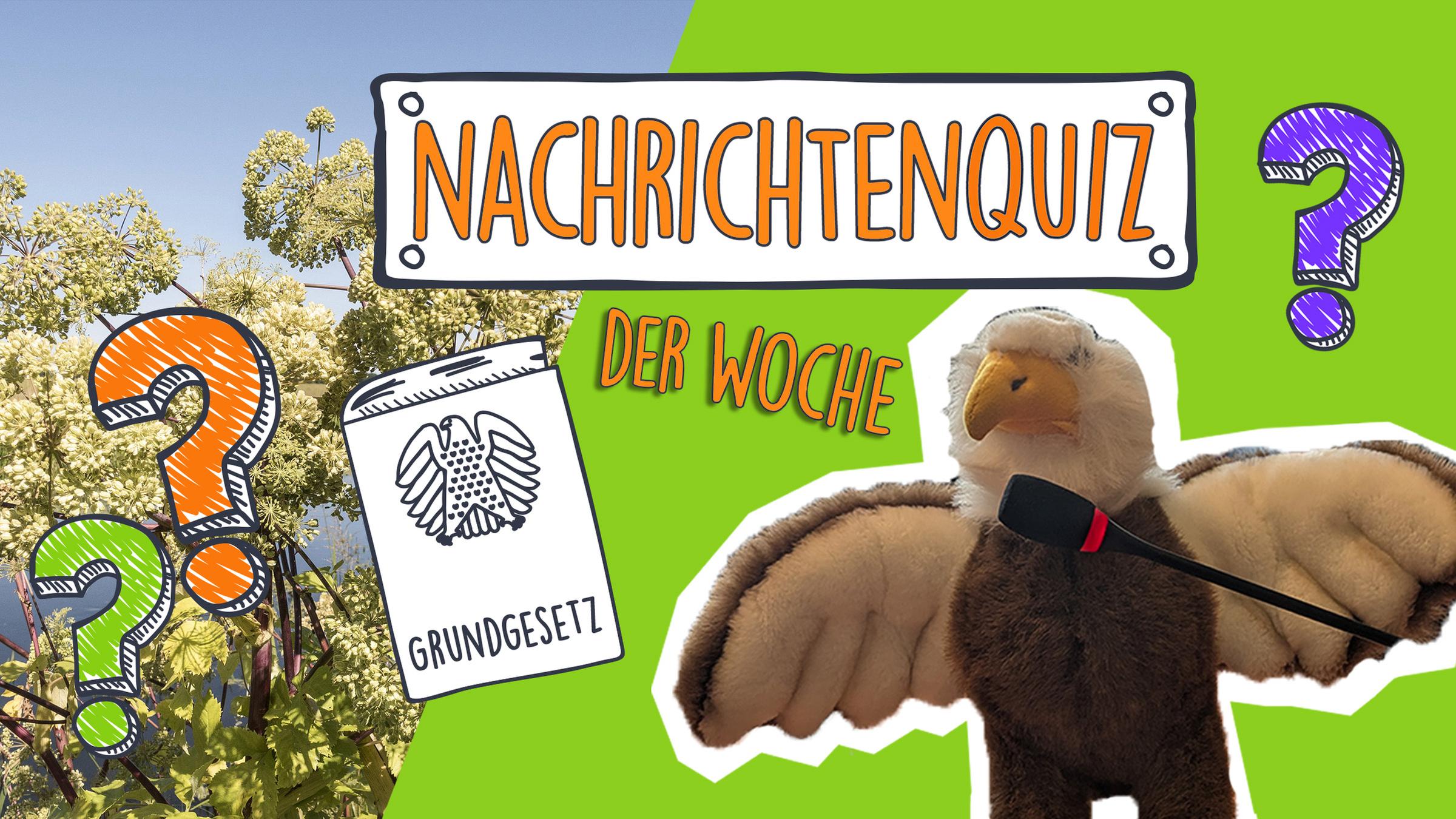 Kollage für das Nachrichtenquiz in der KW 28: riesen Bärenklau, Grundgesetzt und das Adler-Maskottchen der Kinderkommission.