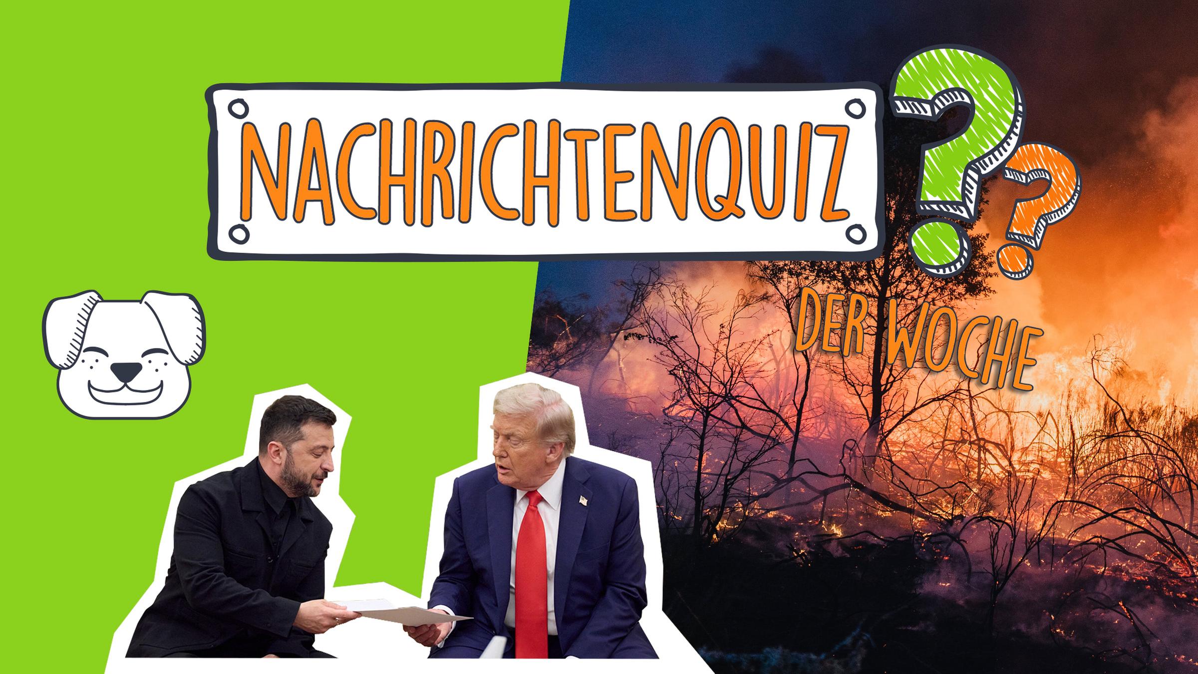 Eine Montage aus Donald Trump und Selenskyj, einem Hund, Bränden und zwei Fragezeichen
