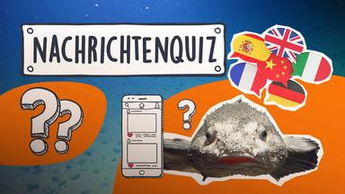 Nachrichtenquiz 