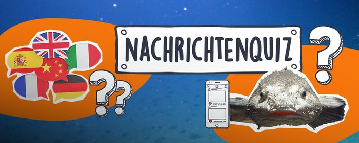 Nachrichtenquiz 