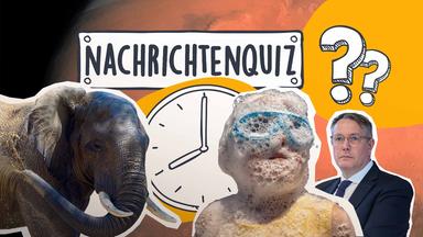 Nachrichtenquiz
