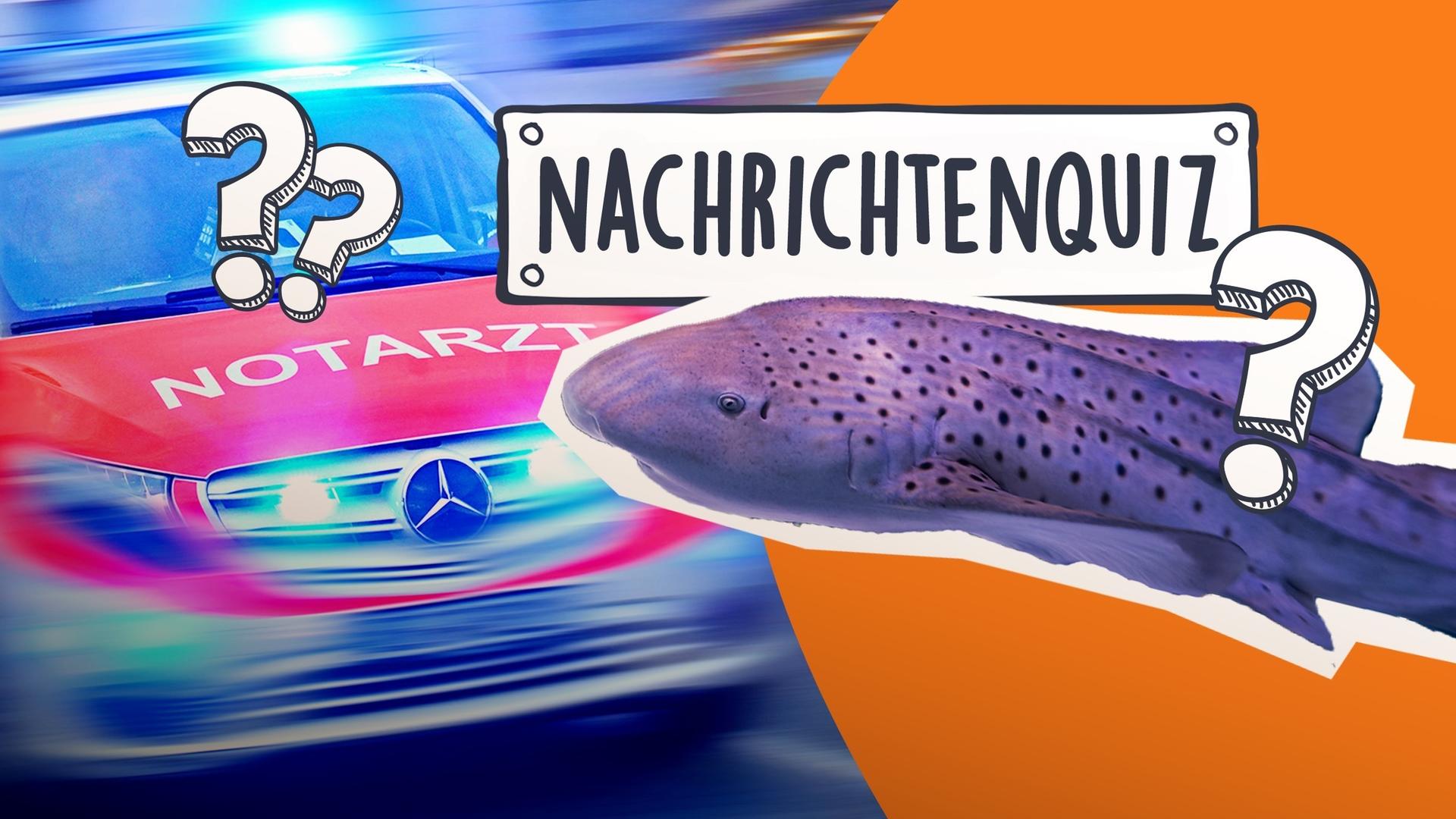 Nachrichtenquiz KW07