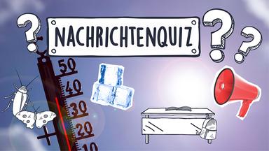 Eine Collage zeigt ein Foto von einem Thermometer, darauf ein Megefon, Eiswürfel, ein Schreibtisch, Fragezeichen, eine Kakerlake und ein Schmetterling. Darüber steht: Nachrichtenquiz
