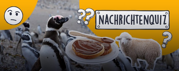 Nachrichtenquiz