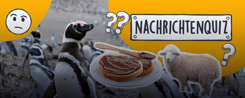 Nachrichtenquiz