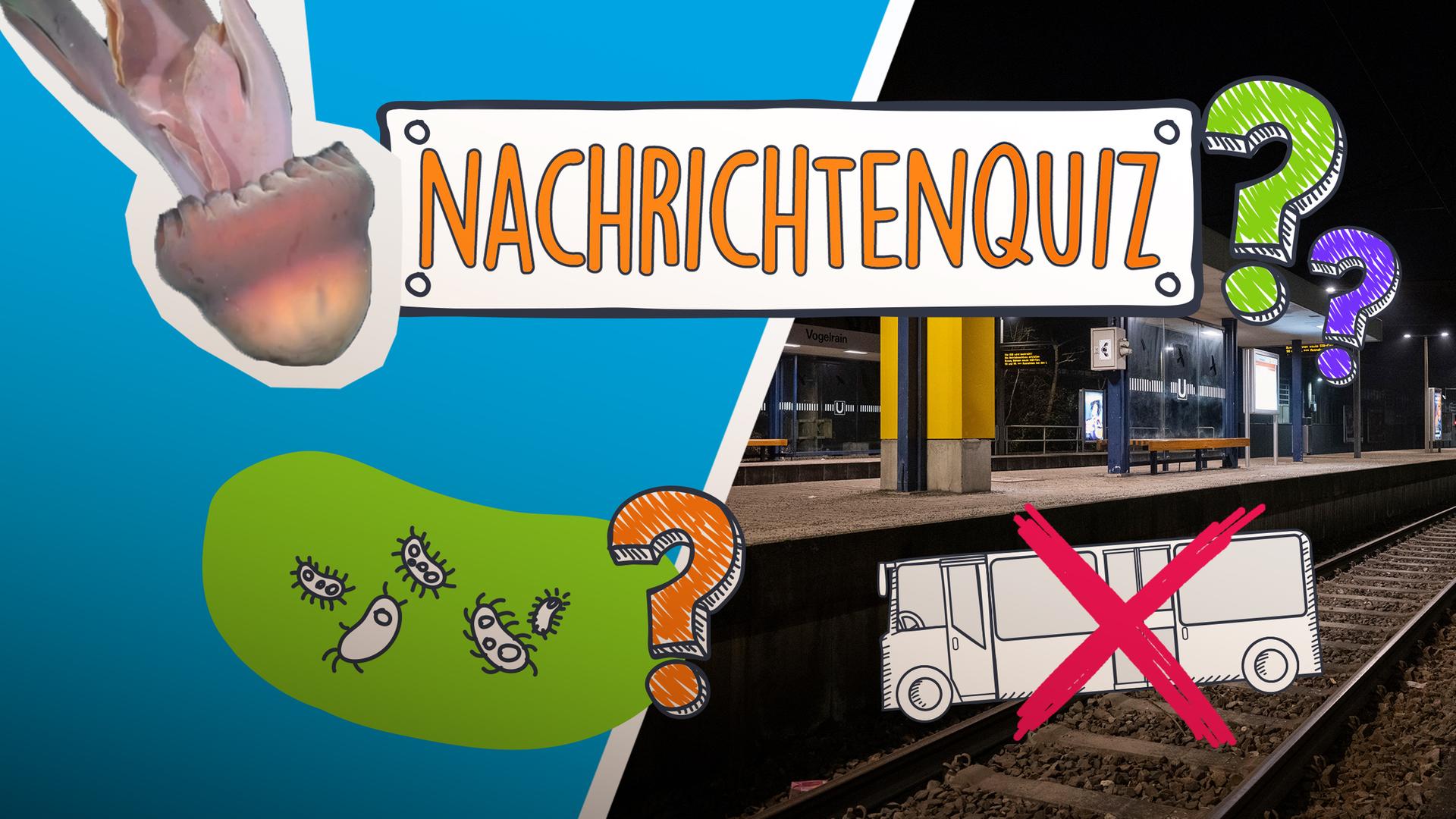 Nachrichtenquiz KW06