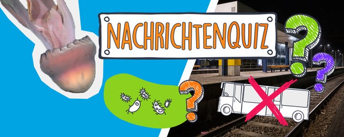Nachrichtenquiz KW06