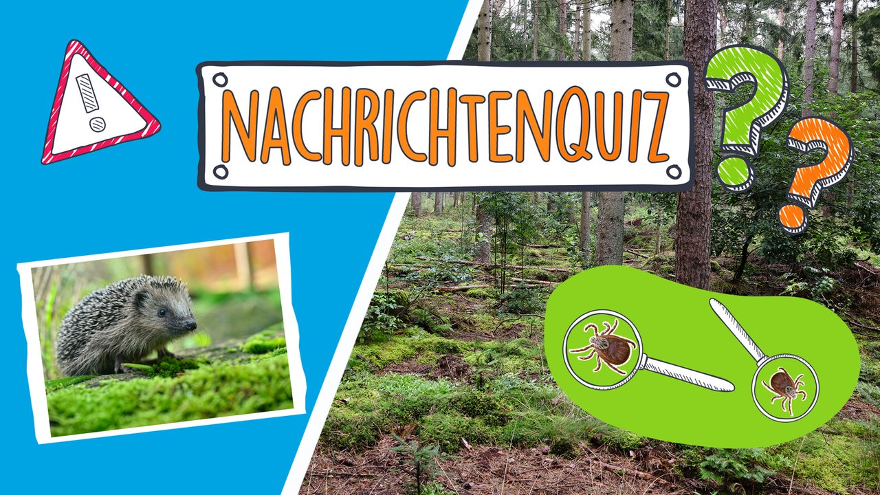 Nachrichtenquiz_Teaserbild_KW_15