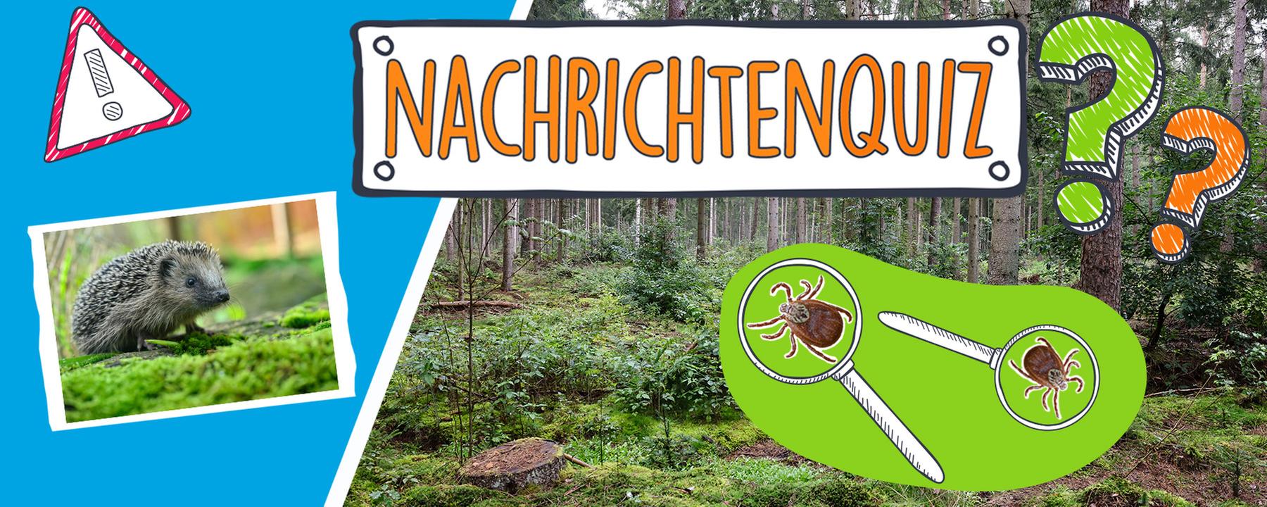 Nachrichtenquiz_Teaserbild_KW_15