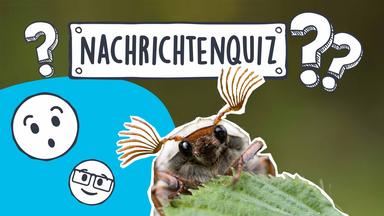 Nachrichtenquiz_Teaserbild_KW_19