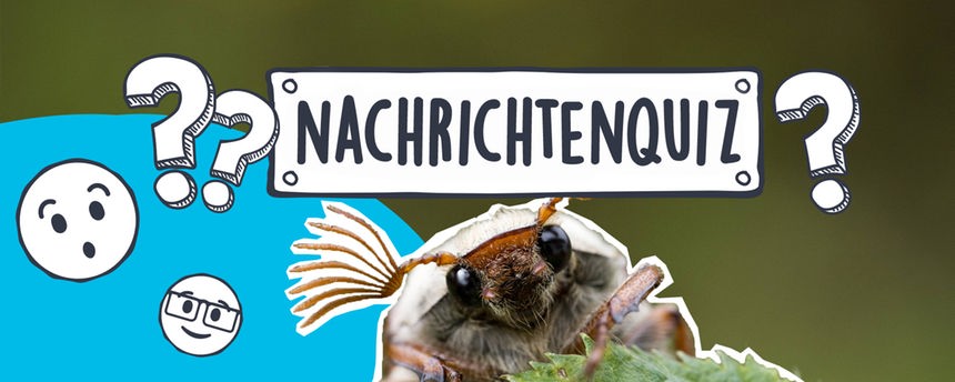 Nachrichtenquiz_Teaserbild_KW_19