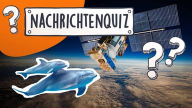 Collage Nachrichtenquiz