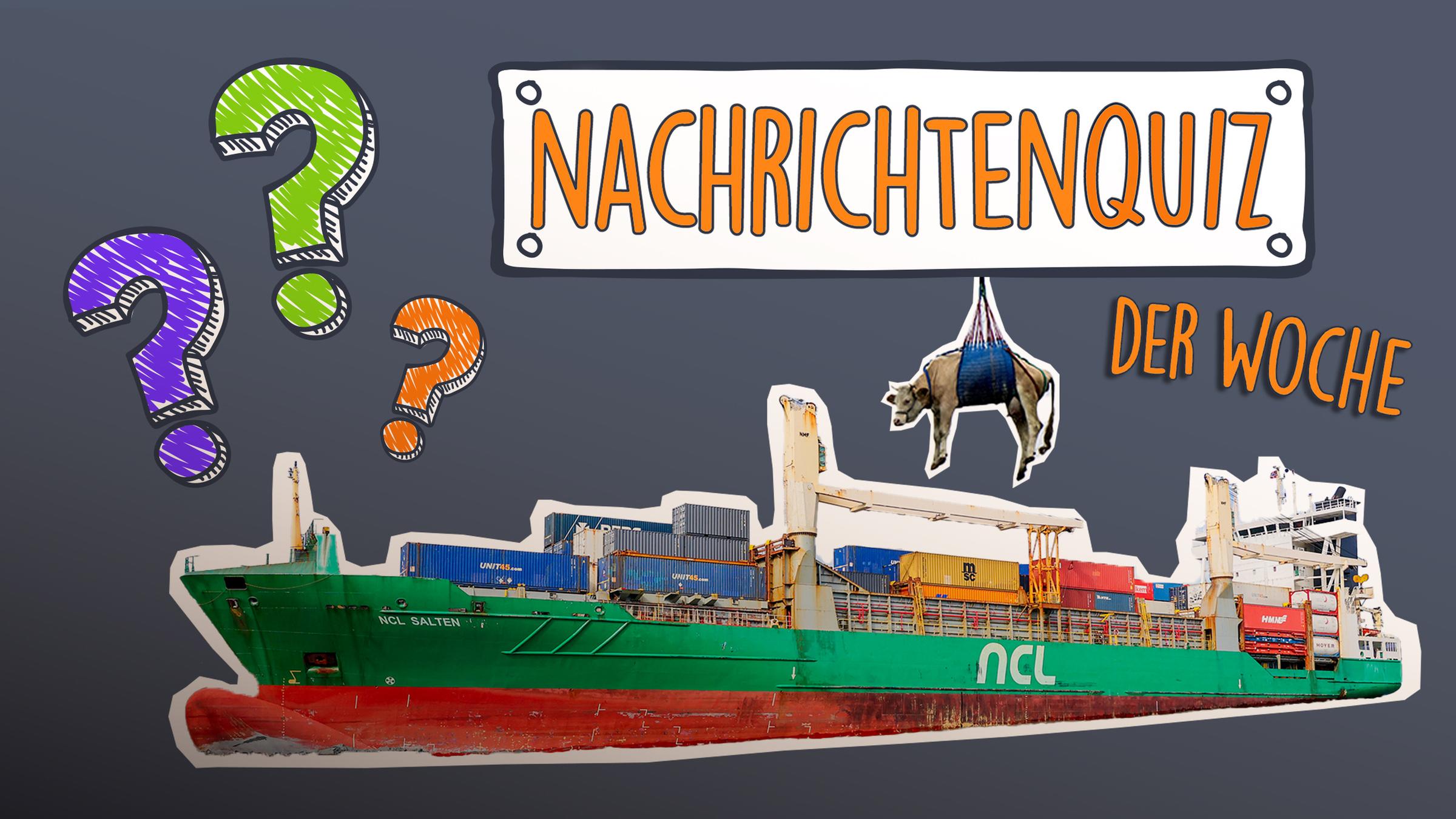 Ein großes Containerschiff und eine fliegende Kuh